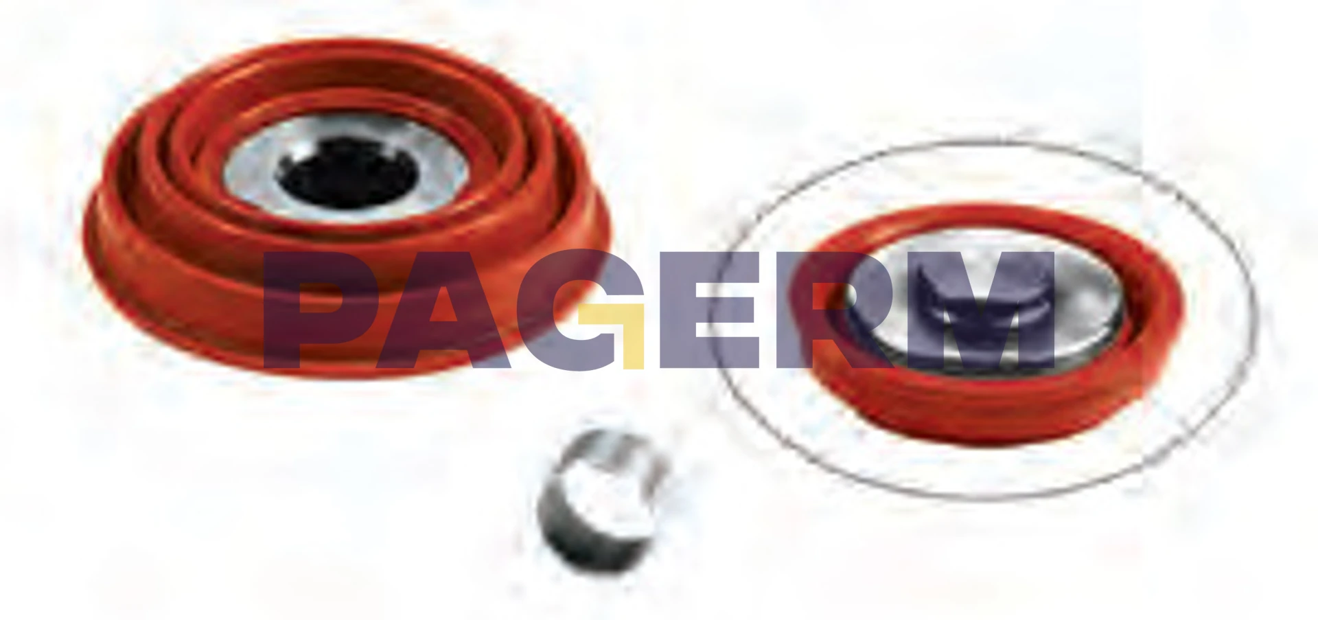 Caliper repair kit
