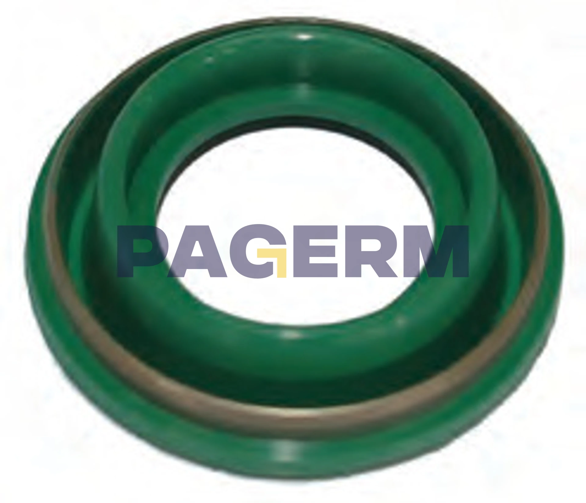 Caliper repair kit