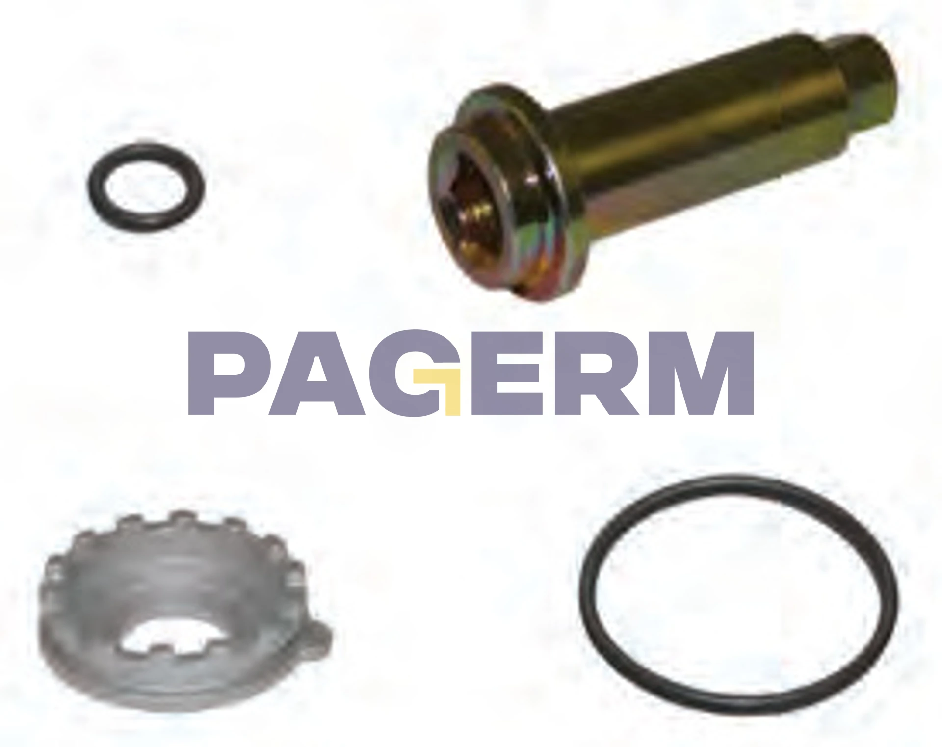 Caliper repair kit